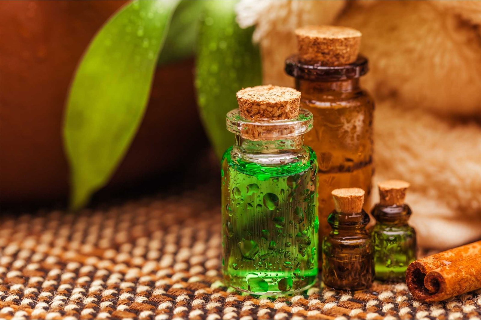 NHÓM HƯƠNG TỔNG HỢP